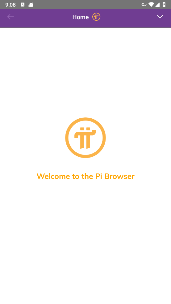 pi°汾(Pi Browser)v1.11.0 ׿