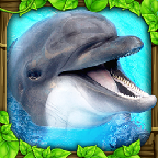 ģ°(Dolphin Sim)v1 İ