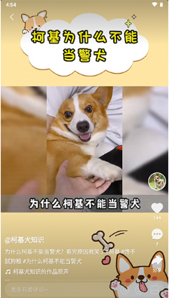 ߴ°汾