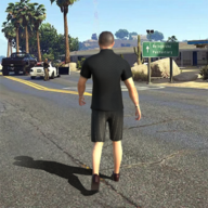 ֻ֮(Gangster Mafia)v1.60 ׿