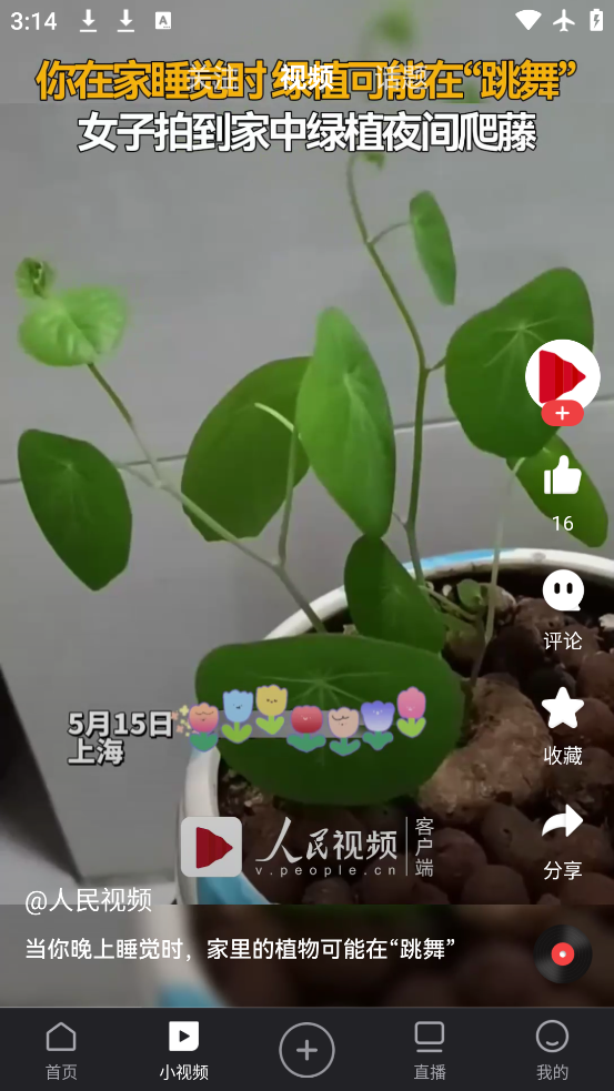 Ƶapp°v4.2.15 ٷ