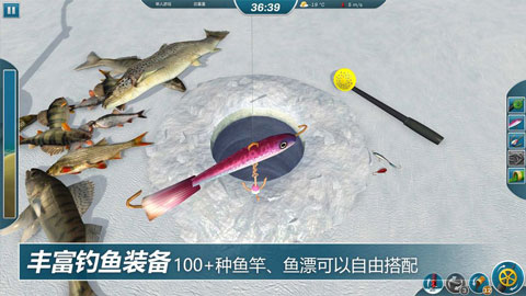 ʦ°v1.0.3 ٷ