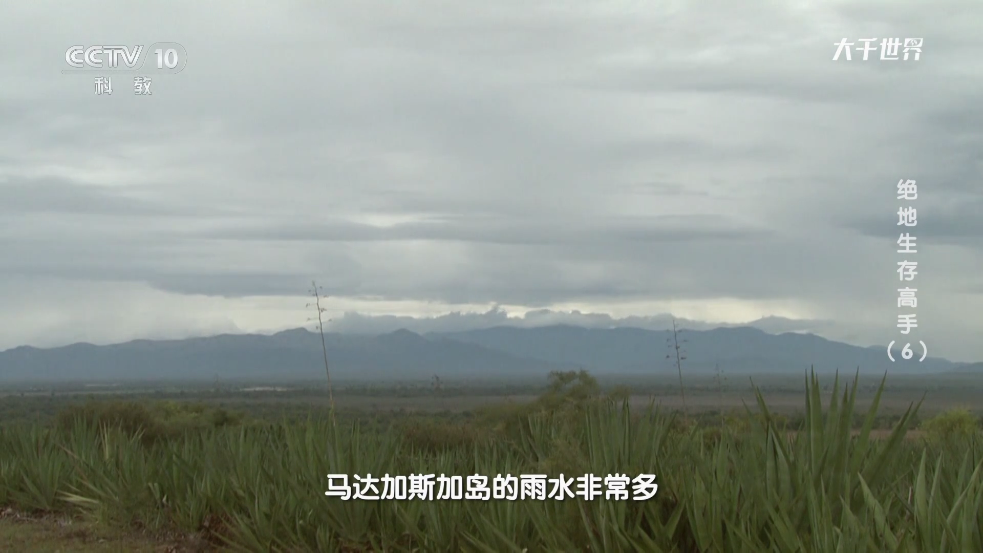 仨ӰTVv2.7.2 ٷ