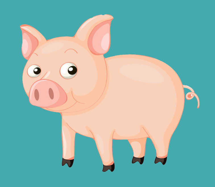 MeTVٷappذװv6.1.0 ٷ