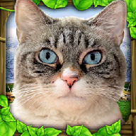 èģٷ(StrayCatSim)v1.0.4 °