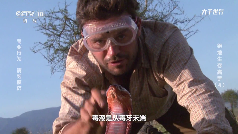 ΢TVٷ°汾v5.0.0.1 ׿