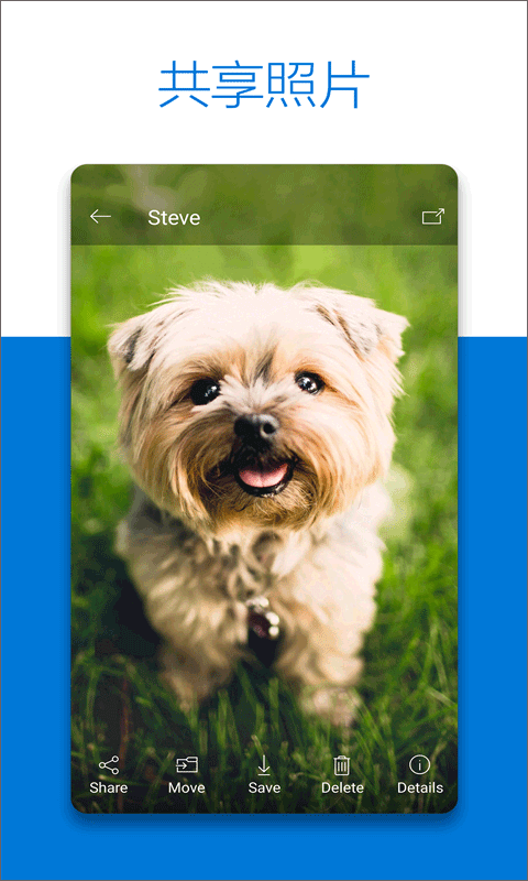 ΢̹ٷ(OneDrive)v7.38 °
